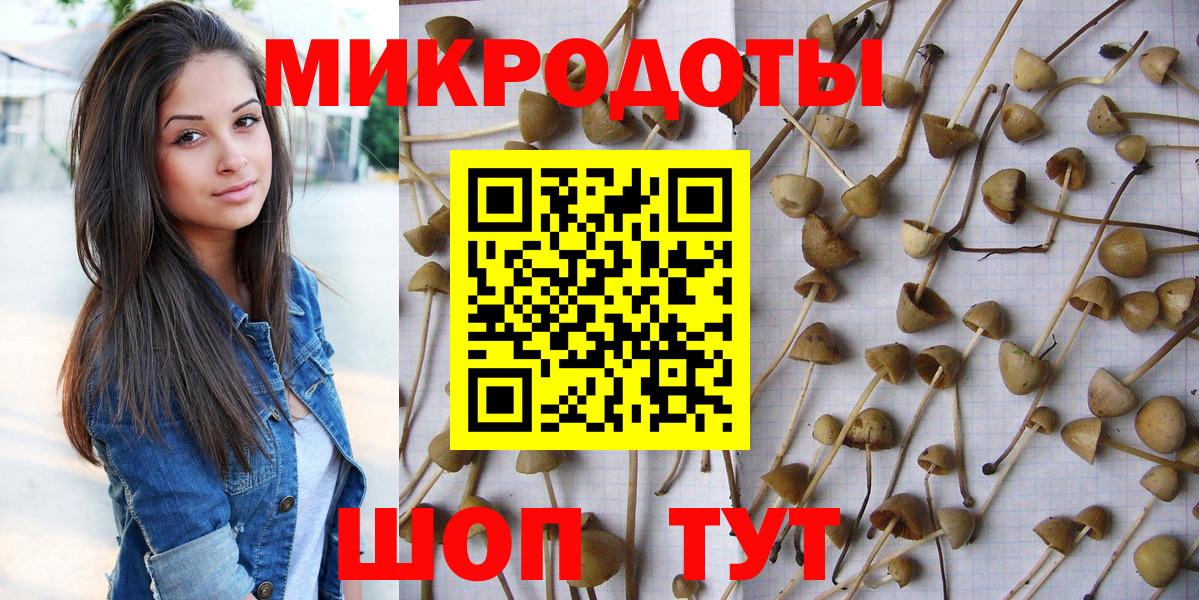 Норильск  Псилоцибиновые грибы Psilocybe  Вход с VPN  Псилоцибиновые грибы мицелий 