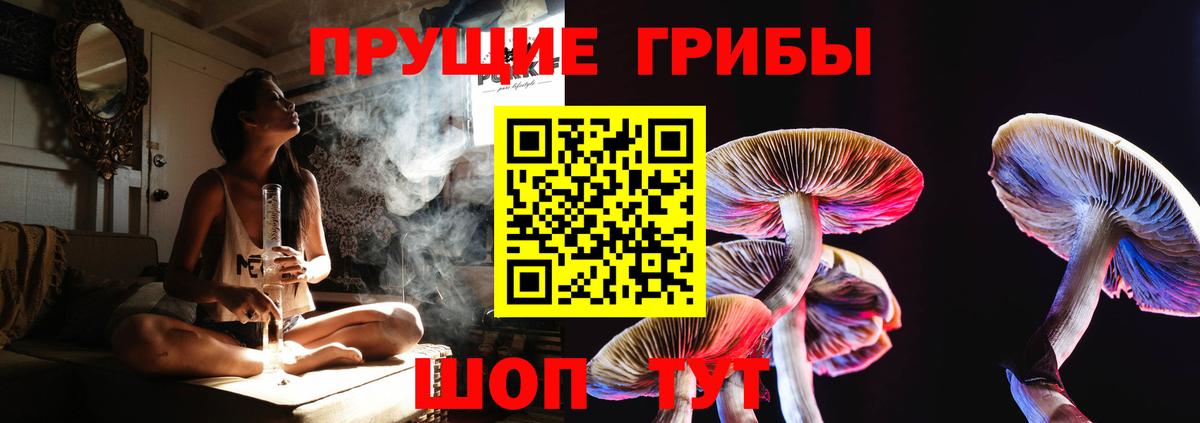 Галлюциногенные грибы MAGIC MUSHROOMS Норильск
